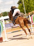 DSC08456 DSC08456