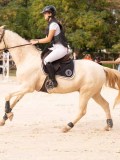 DSC00029 DSC00029