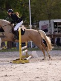 DSC07965 DSC07965