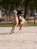DSC07966 DSC07966
