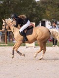 DSC07975 DSC07975
