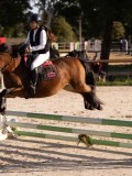 DSC06500 DSC06500