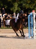 DSC06505 DSC06505