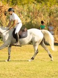 DSC05646