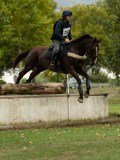 MAX03181