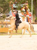 DSC05523 DSC05523