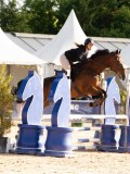 DSC03624 DSC03624
