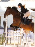 DSC03629 DSC03629