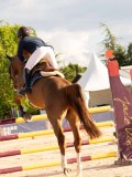 DSC06662 DSC06662