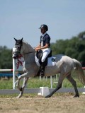 DSC07615 DSC07615