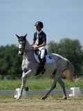 DSC07617 DSC07617