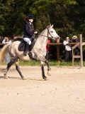 DSC06520 DSC06520