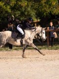 DSC06522 DSC06522