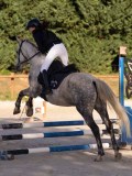DSC06525 DSC06525