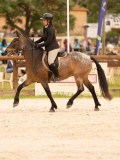 DSC05544 DSC05544