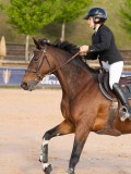 DSC03668 DSC03668