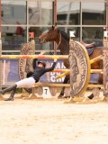 DSC00628 DSC00628