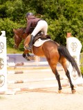 DSC01939 DSC01939