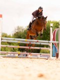 DSC01944 DSC01944