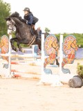 DSC03579 DSC03579