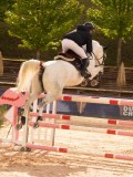 DSC05557 DSC05557