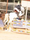 DSC05560 DSC05560