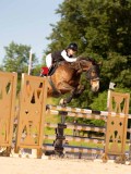 DSC05164 DSC05164