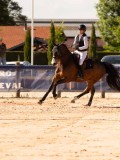 DSC05188 DSC05188