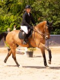 DSC08480 DSC08480