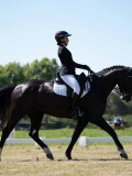 DSC07365 DSC07365