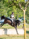 DSC08665 DSC08665