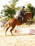 DSC08126 DSC08126