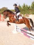 DSC06533 DSC06533