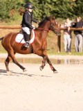 DSC06538 DSC06538