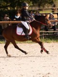 DSC06540 DSC06540