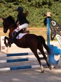 DSC06544 DSC06544