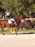 DSC06545 DSC06545