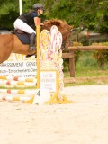 DSC09175 DSC09175