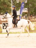DSC05566 DSC05566