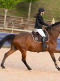 DSC03675 DSC03675