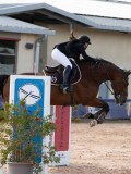DSC03678 DSC03678