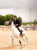 DSC00640 DSC00640