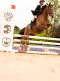 DSC00669 DSC00669