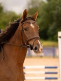 DSC00675 DSC00675