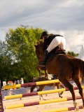 DSC06637 DSC06637