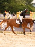 DSC05585 DSC05585