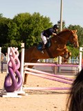DSC05204 DSC05204