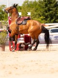 DSC04144 DSC04144