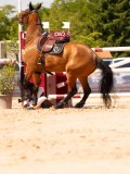 DSC04145 DSC04145
