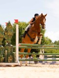 DSC08505 DSC08505